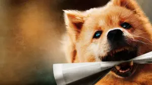 Задник к фильму "Мой Хатико" #472159