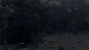 Задник к фильму "" #544658