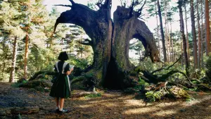 Задник к фильму "Лабиринт Фавна" #597350