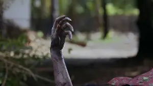 Задник к фильму "" #575281