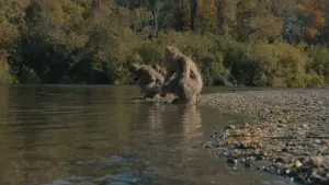 Задник к фильму "" #745843