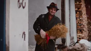 Задник к фильму "Приключения Тедди" #165569