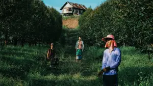 Задник к фильму "Терновый рай" #700388