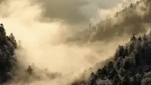 Задник к фильму "" #534622