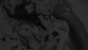 I Can’t Bear the Vanishing Gentleness of This World