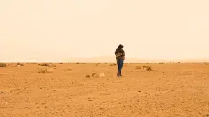 Задник к фильму "Dust to Dusk" #932198