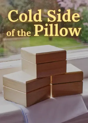 Постер к фильму "Cold Side of the Pillow"