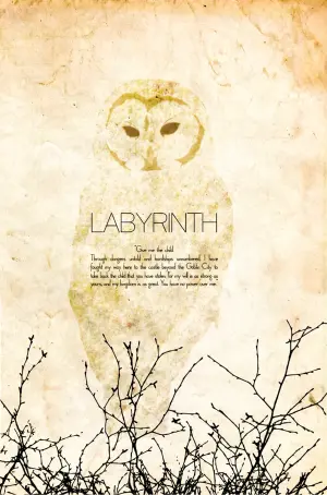 Постер к фильму "Лабиринт" #121820