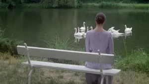 Задник к фильму "Звезда" #470736