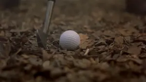 Задник к фильму "Легенда Багера Ванса" #279447