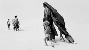 Задник к фильму "Соль земли" #440612