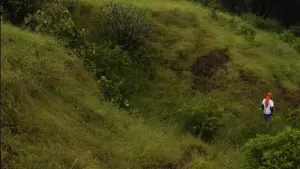 Задник к фильму "" #460166