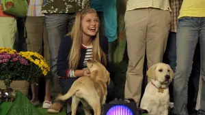 Задник к фильму "Марли и я 2" #397640