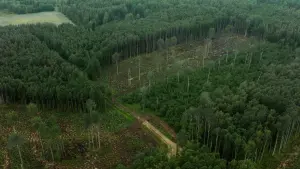 Задник к фильму "" #353395