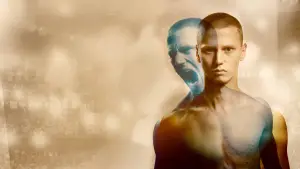 Задник к фильму "Тигры" #729662