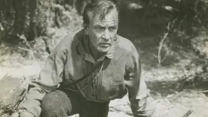 Задник к фильму "Дружеское увещевание" #459710