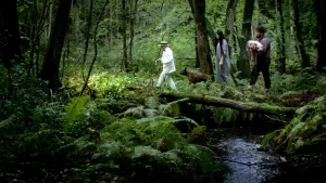 Задник к фильму "Коко-ди Коко-да" #164454