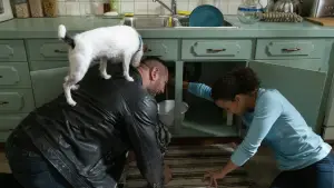 Задник к фильму "Мой шпион" #617406