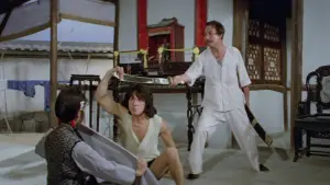 Задник к фильму "Молодой мастер" #721924