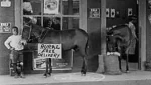 Задник к фильму "Наша банда" #741842