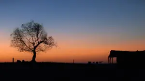 Задник к фильму "Непрощённый" #657908