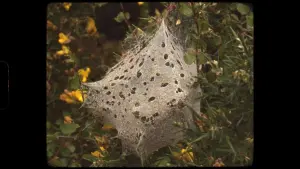 Задник к фильму "" #416349