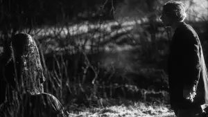 Задник к фильму "Ноябрь" #403520