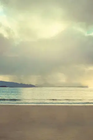 Постер к фильму "Банши Инишерина" #213639