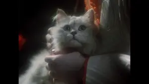 Задник к фильму "Дом" #221294