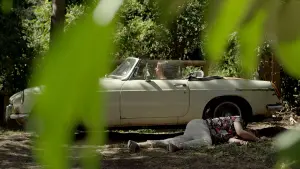 Задник к фильму "Проклятие Горгоны" #452590