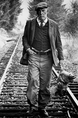 Император севера