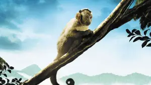 Задник к фильму "Амазония: Инструкция по выживанию" #708202