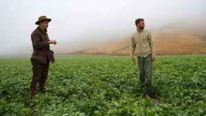 Задник к фильму "Нефть" #624090