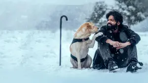 Задник к фильму "777 Чарли" #418984