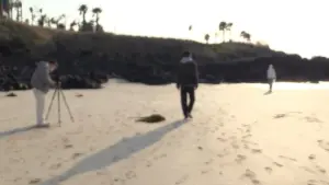 Видео к фильму In Water | Official US Trailer