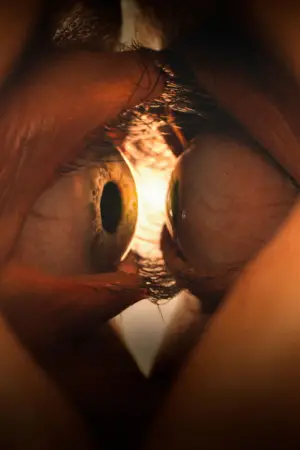 Постер к фильму "Одно целое" #528069