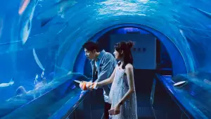 Задник к фильму "Болен тобой" #620719