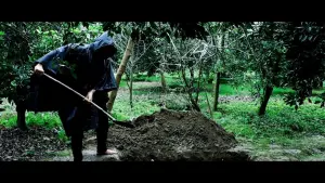 Задник к фильму "" #416566