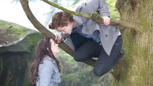 Задник к фильму "Сумерки" #169006