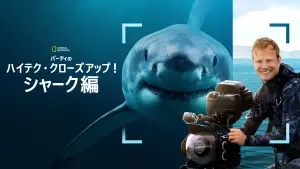 Задник к фильму "Лицом к лицу с акулами с Берти Грегори" #793004