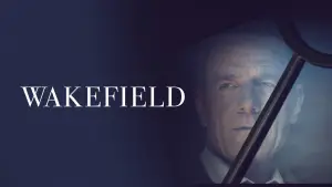 Во всем виноват енот