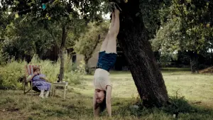 Задник к фильму "Звук падения" #523972