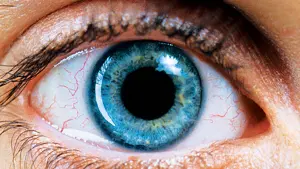 Задник к фильму "Реквием по мечте" #179624