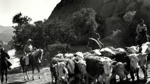 Задник к фильму "" #478181