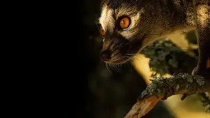 Задник к фильму "" #395114