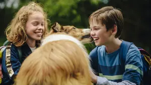 Задник к фильму "Лесси. Возвращение домой" #384723