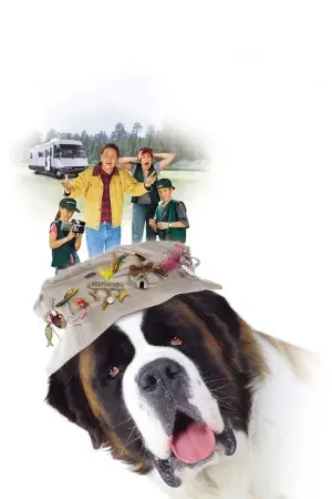 Постер к фильму "Бетховен 3" #340435