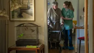 Задник к фильму "Дом милый дом" #660222