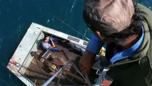 Задник к фильму "Челюсти" #521052