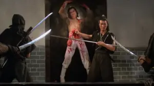 Задник к фильму "Ниндзя пяти стихий" #471105